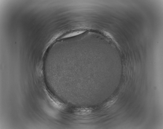 X0000067460443200604101137