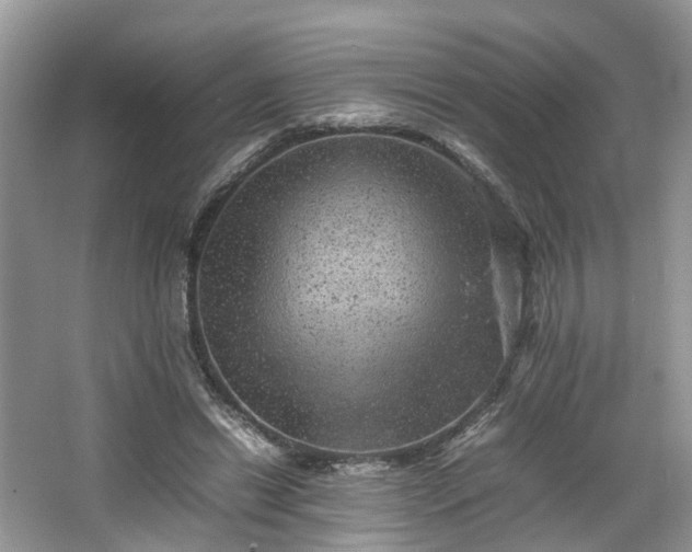 X0000067460446200604101137