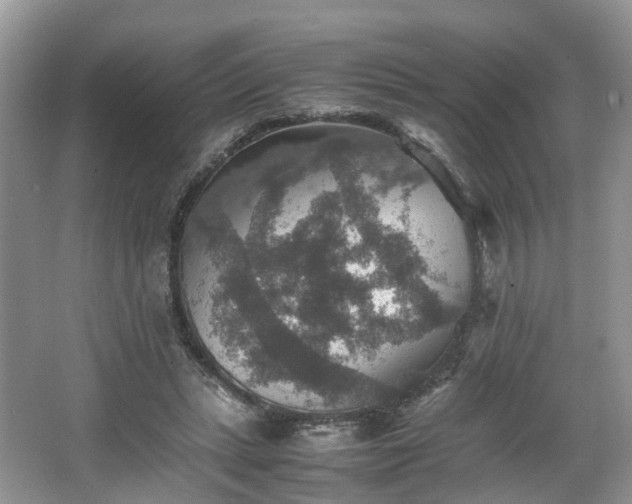 X0000067460447200604101137