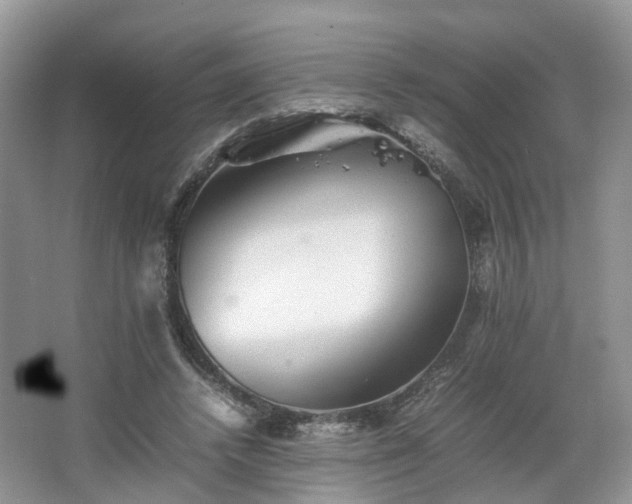 X0000067460448200604101137