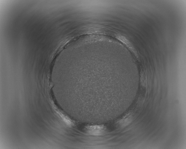 X0000067460449200604101137