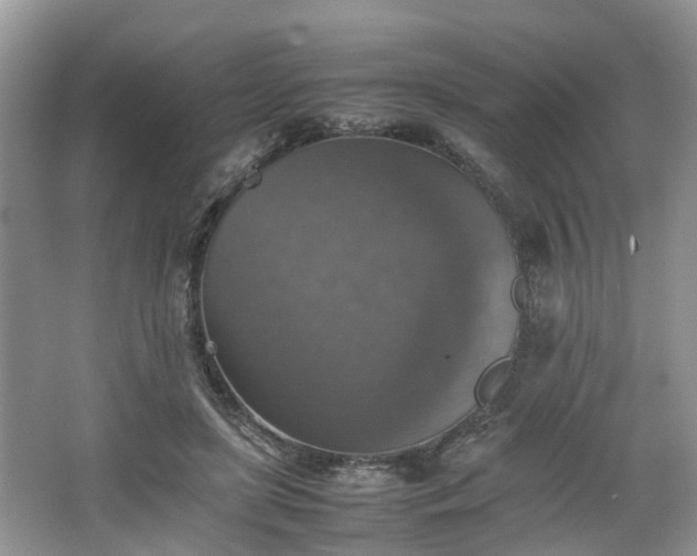 X0000067460451200604101137