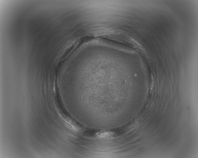 X0000067460452200604101137