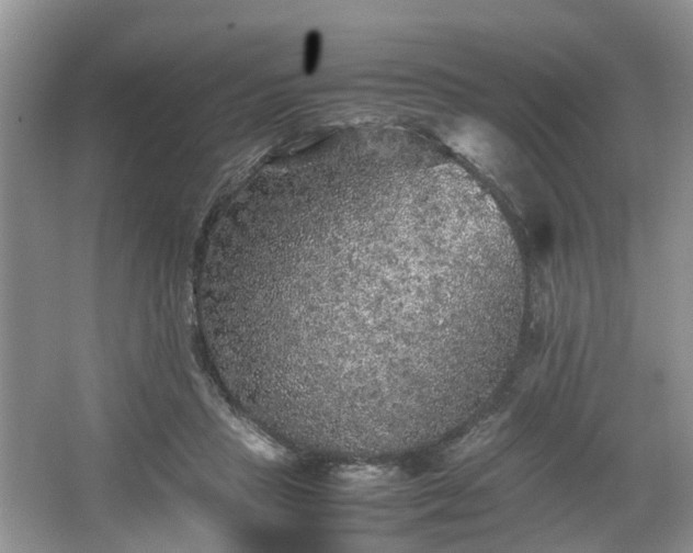 X0000067460453200604101137