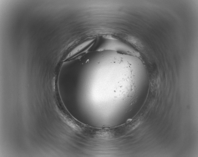 X0000067460454200604101137