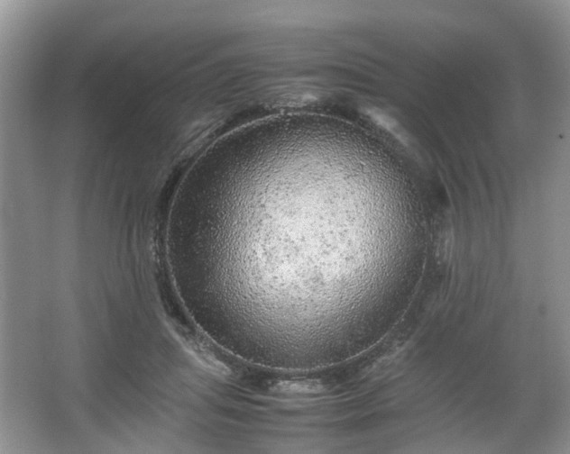 X0000067460455200604101137