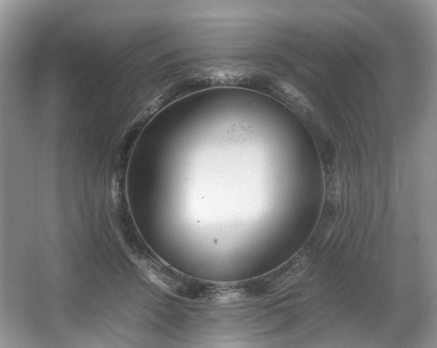 X0000067460456200604101137