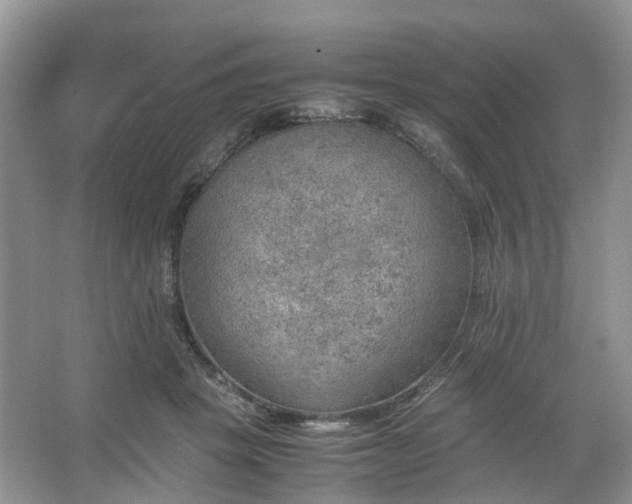 X0000067460457200604101137