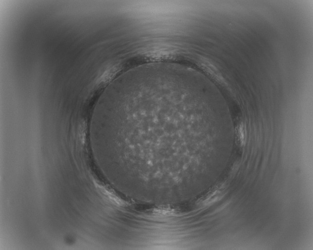 X0000067460458200604101137