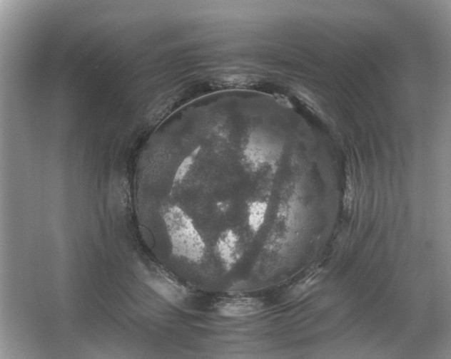 X0000067460459200604101137