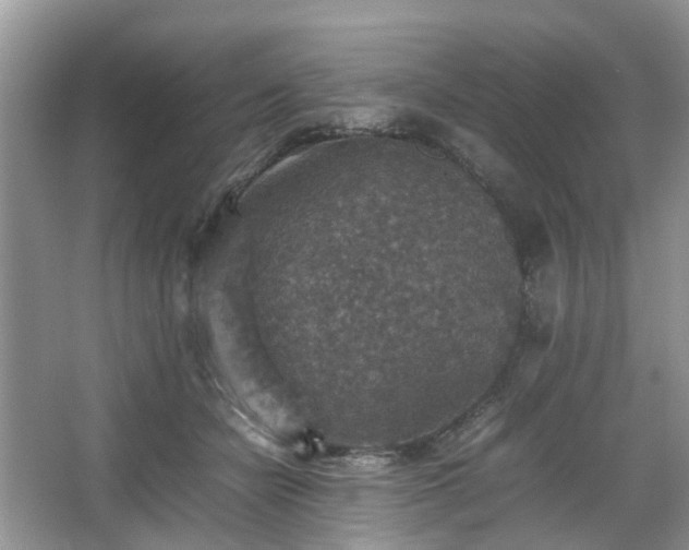 X0000067460462200604101137