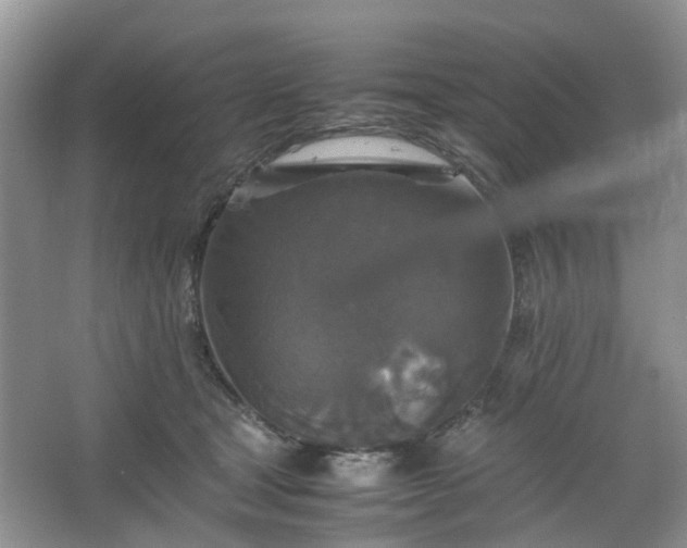 X0000067460465200604101137