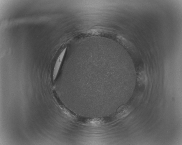 X0000067460466200604101137