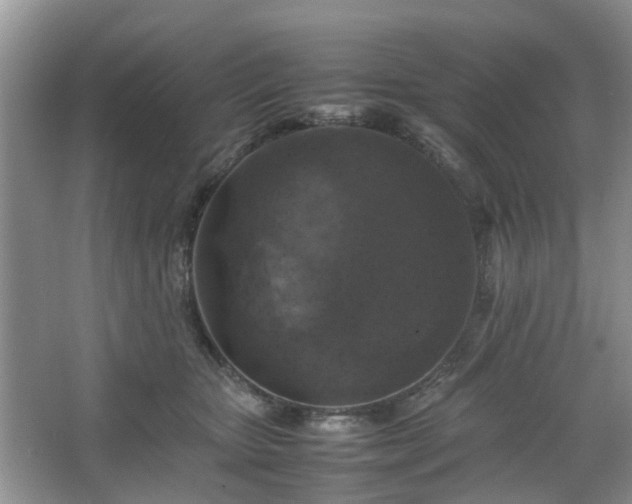 X0000067460467200604101137