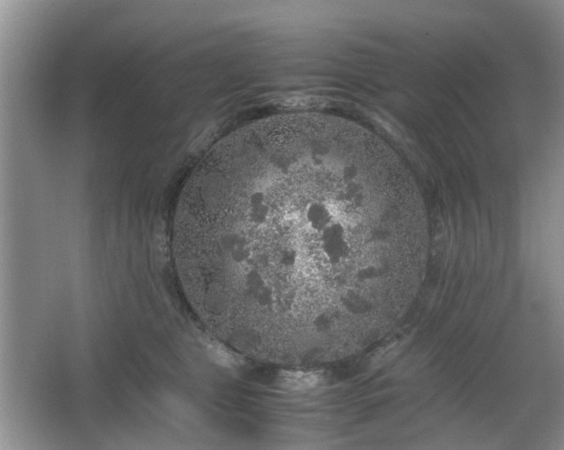 X0000067460469200604101137