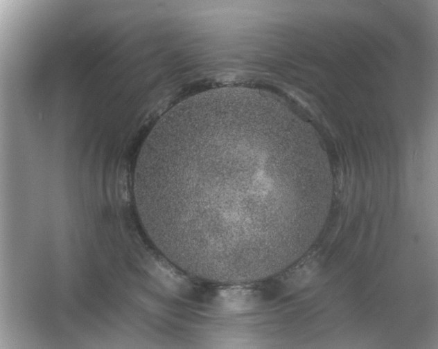 X0000067460470200604101137