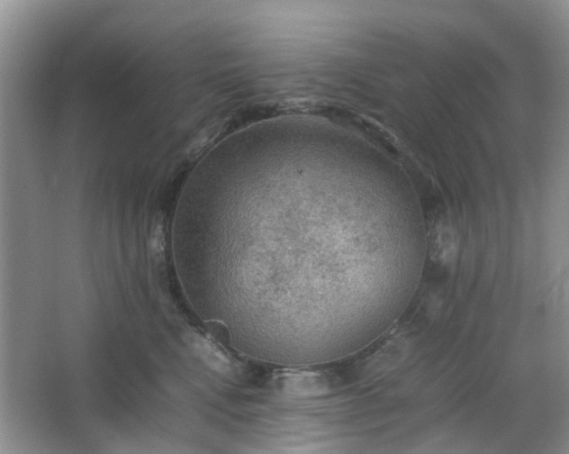 X0000067460472200604101137