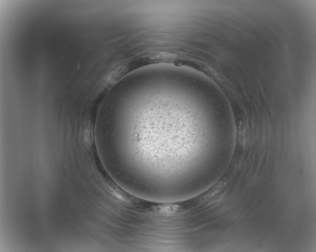 X0000067460474200604101137