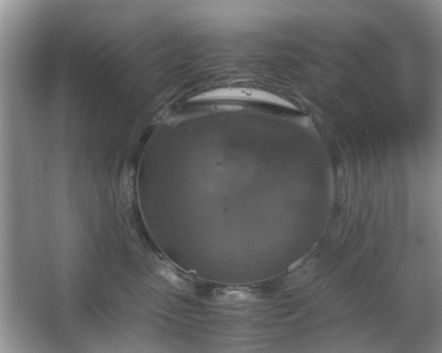 X0000067460475200604101137