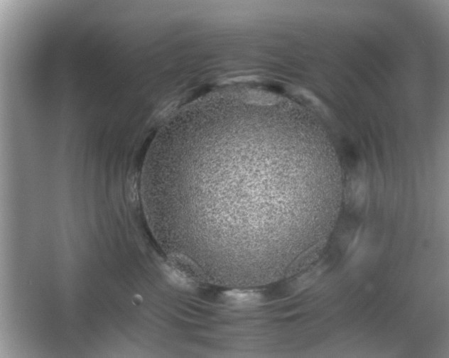 X0000067460477200604101138