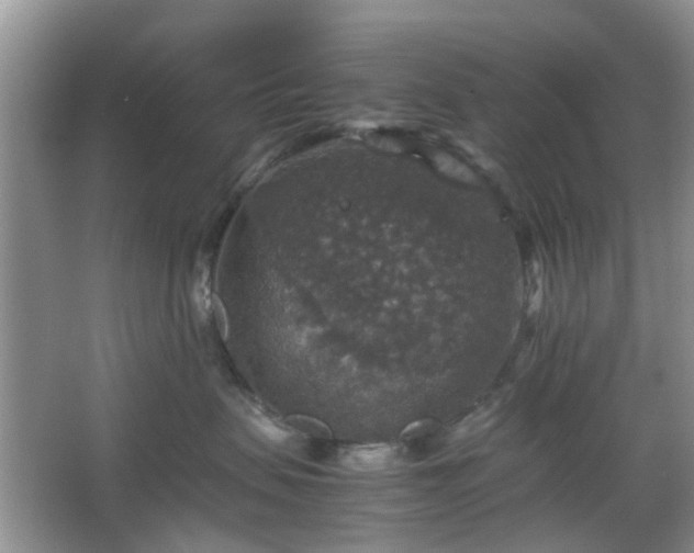 X0000067460479200604101138