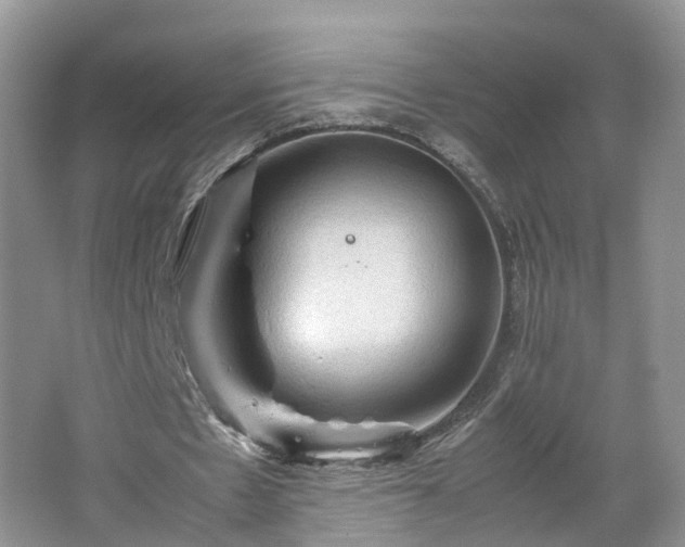 X0000067460481200604101137