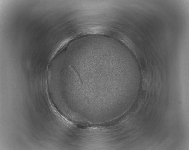 X0000067460482200604101137