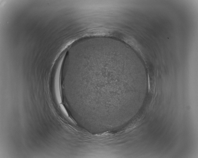 X0000067460483200604101137