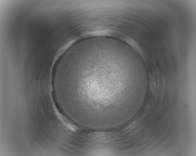 X0000067460486200604101137