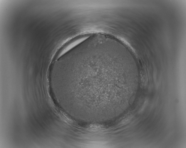 X0000067460487200604101137