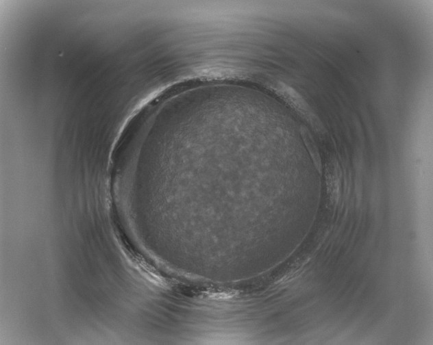 X0000067460488200604101137