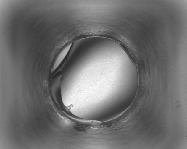 X0000067460489200604101137