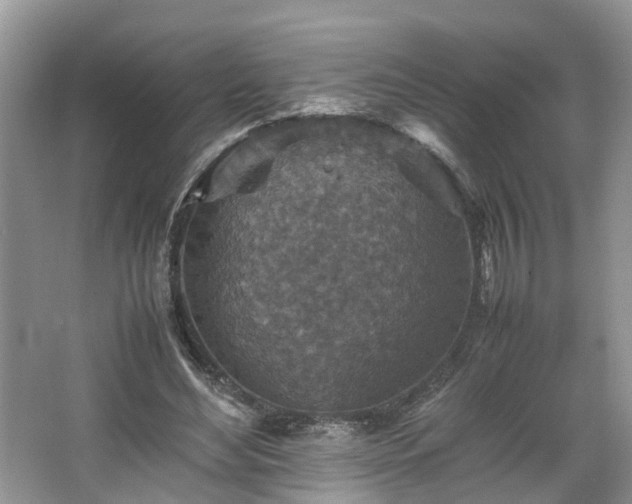 X0000067460492200604101137