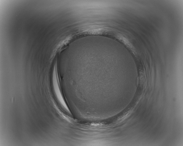 X0000067460493200604101137