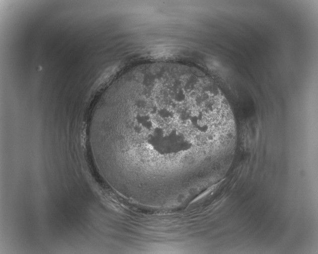 X0000067460495200604101137