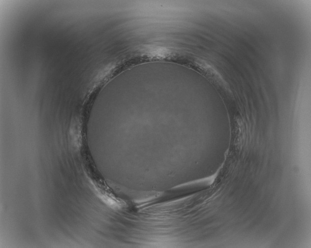 X0000067460496200604101137