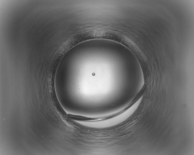 X0000067460497200604101136