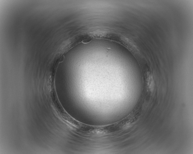 X0000067460498200604101136