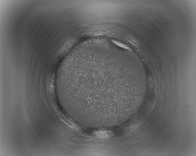 X0000067460499200604101136