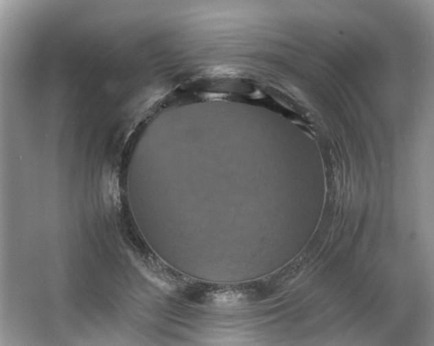 X0000067460500200604101136