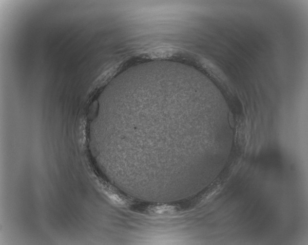 X0000067460501200604101136