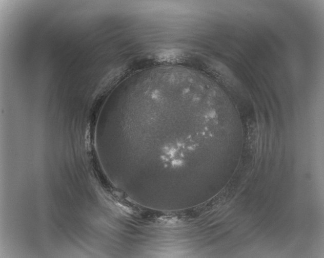 X0000067460502200604101136