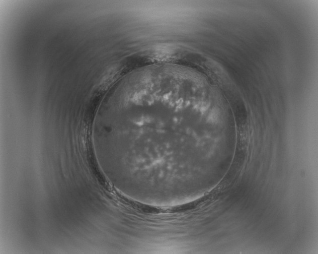 X0000067460503200604101136