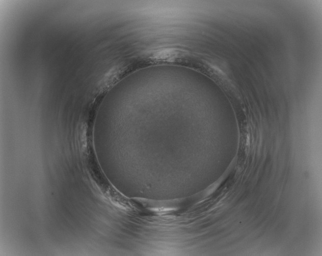 X0000067460504200604101136