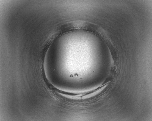 X0000067460505200604101136