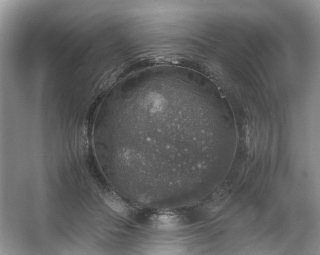 X0000067460506200604101136