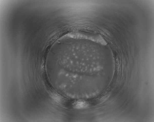 X0000067460507200604101136