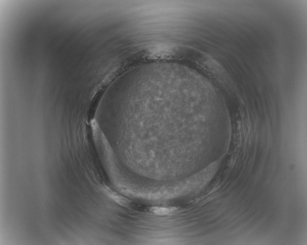 X0000067460508200604101136