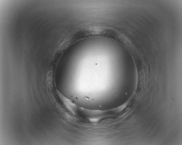 X0000067460509200604101136