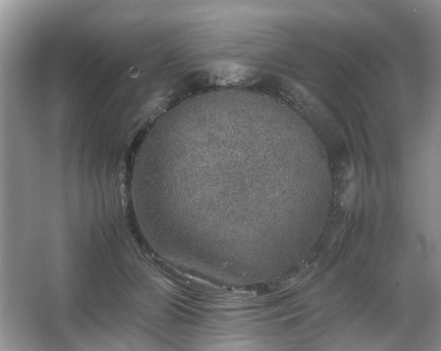 X0000067460510200604101136